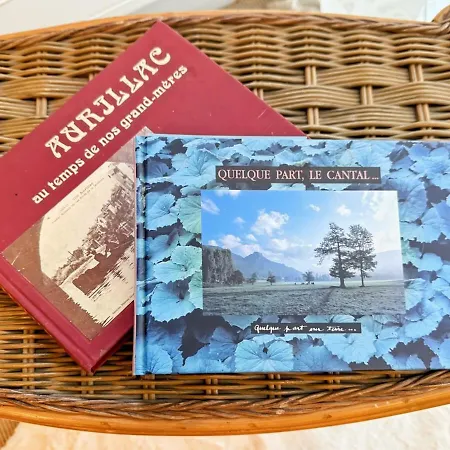 Le Petit Volcan D'aurillac - Centre - 2 Pers *