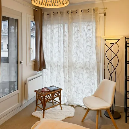 Le Petit Volcan D'aurillac - Centre - 2 Pers Apartment *